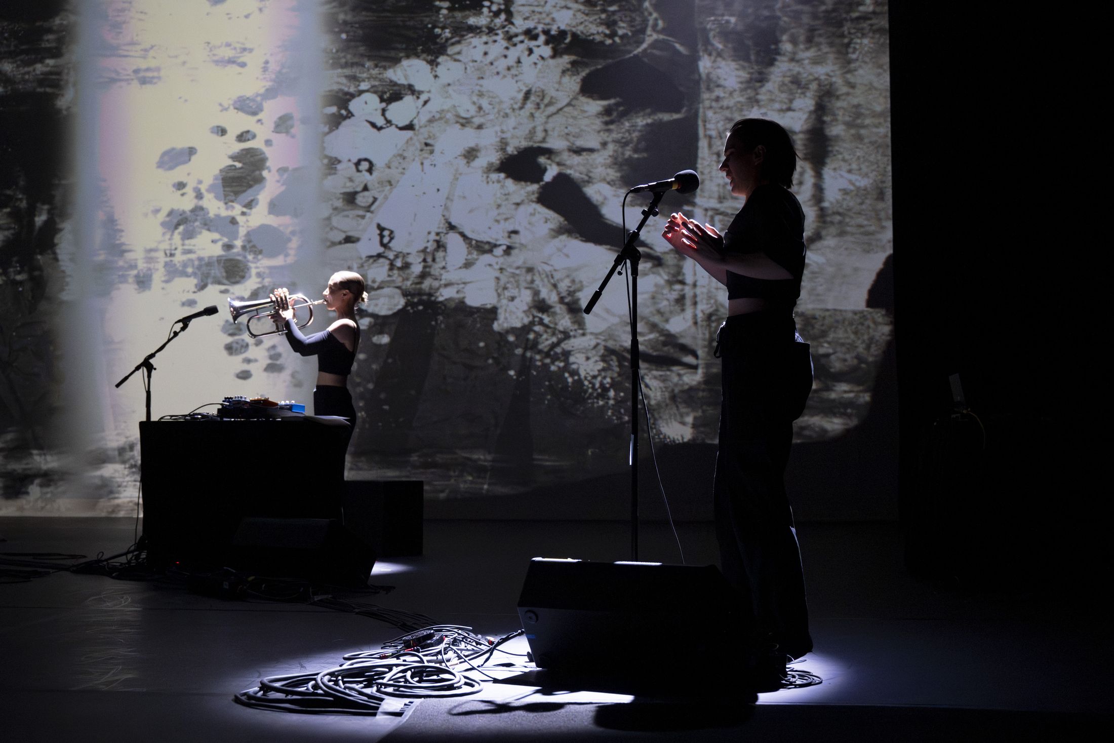 Briana Gillet, trumpet, in front of the projected texture